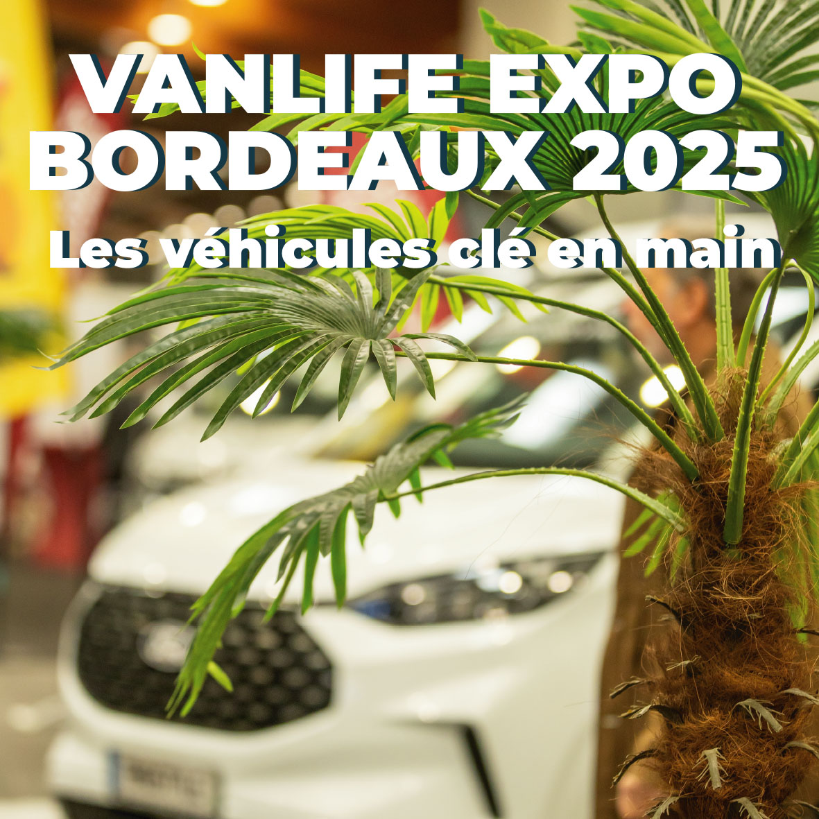 Vanlife Expo Actualités