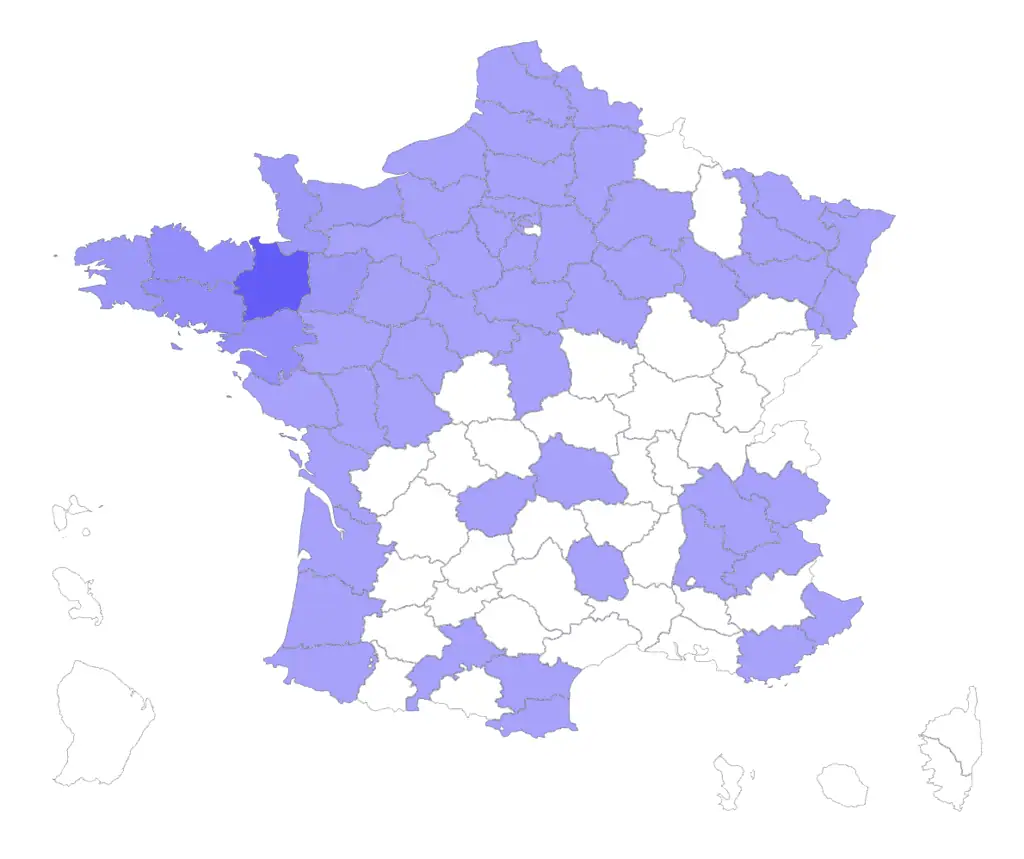 Le marché français du van et du fourgon aménagé